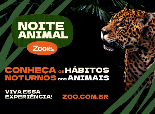Noite Animal - Zoo SP