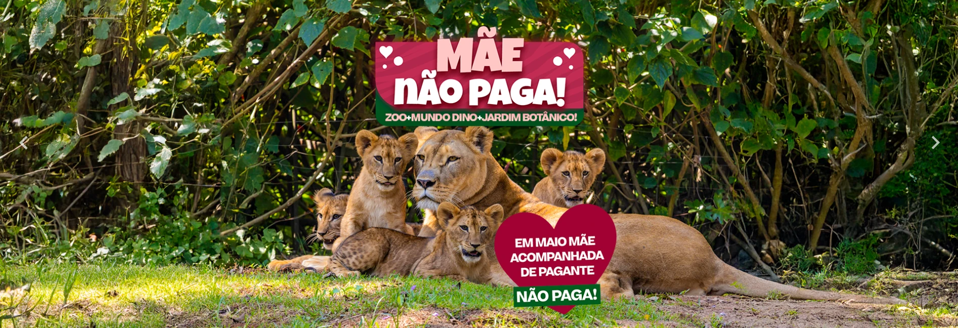 Zoo SP + Mundo Dino